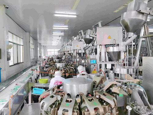 紅太陽精品 東“菜”西“薯”，爭做保障供給排頭兵