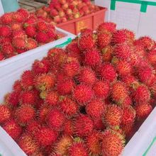 紅毛丹 熱帶佳果的批發(fā)采購與市場機(jī)遇